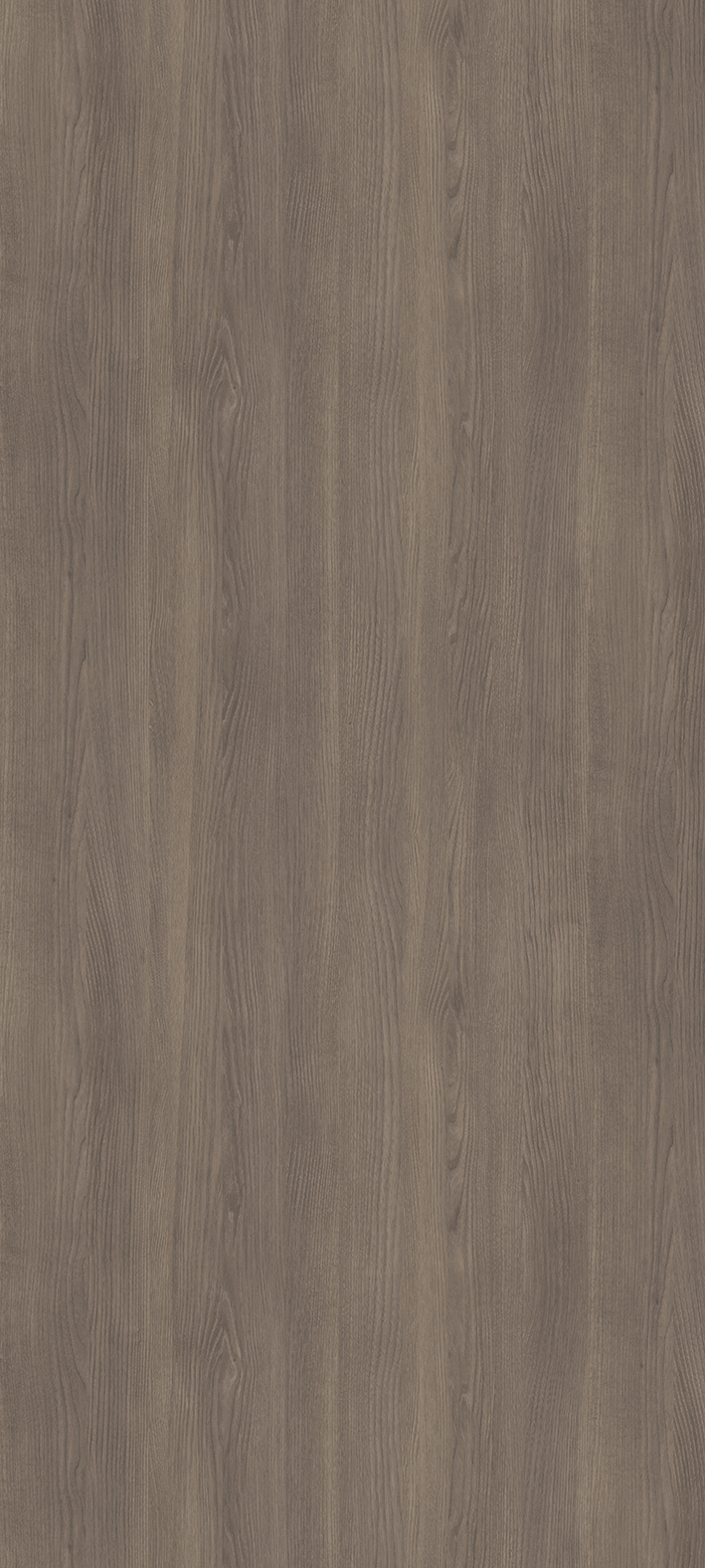 WS-5215E | サンプル・カタログ請求